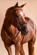 Load image into Gallery viewer, Arc de Triomphe Hackamore Bridle w/Stainless Steel Shanks & Calfskin Covered Reins
