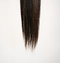 Load image into Gallery viewer, Talisman Horse Tails Horse Tail Extension Black, Chestnut and Flaxen 38%22-0.8 lb-II