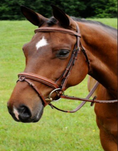 Load image into Gallery viewer, Arc de Triomphe Starman Bridle w/Raised Laced Reins Crank Stud Brown Full