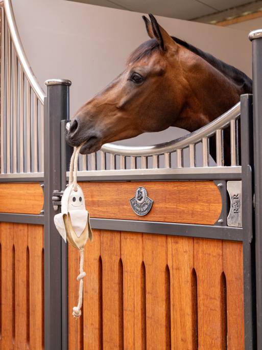 LeMieux® Horse Toy