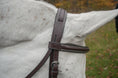 Load image into Gallery viewer, Black Oak Aster Hunter Bridle