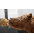 Load image into Gallery viewer, LikIt Granola Stall Ball