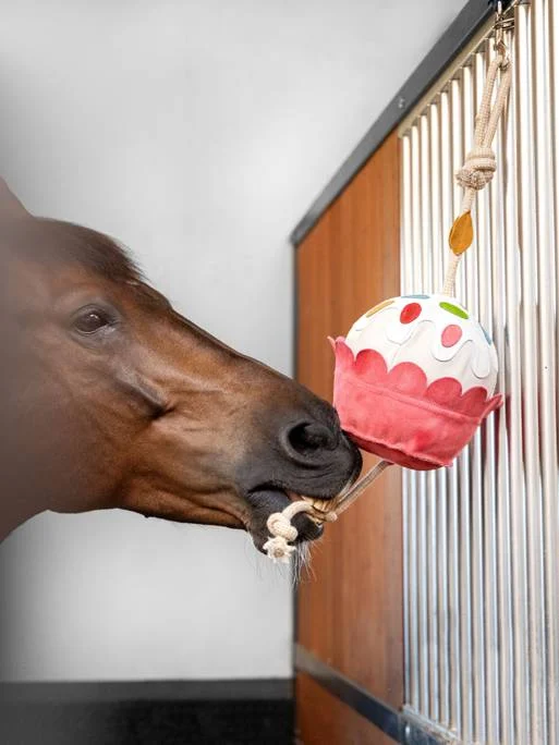 LeMieux® Horse Toy