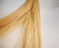 Load image into Gallery viewer, Talisman Horse Tails Horse Tail Extension Cream White 40%22-1.2 lb-II