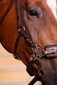 Load image into Gallery viewer, Arc de Triomphe Hackamore Bridle w/Stainless Steel Shanks & Calfskin Covered Reins