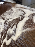 Load image into Gallery viewer, The Infused Equestrian Splash. An Intensifying Shampoo