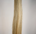 Load image into Gallery viewer, Talisman Horse Tails Horse Tail Extension Light Grey 40%22-1.2-III
