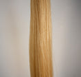 Load image into Gallery viewer, Talisman Horse Tails Horse Tail Extension Cream White 40%22-1.2 lb-IV