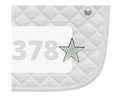 Load image into Gallery viewer, Dubois Cheval Number Pin Charms - Shining Star