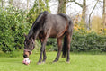 Load image into Gallery viewer, Soccer Ball Toy for Horses
