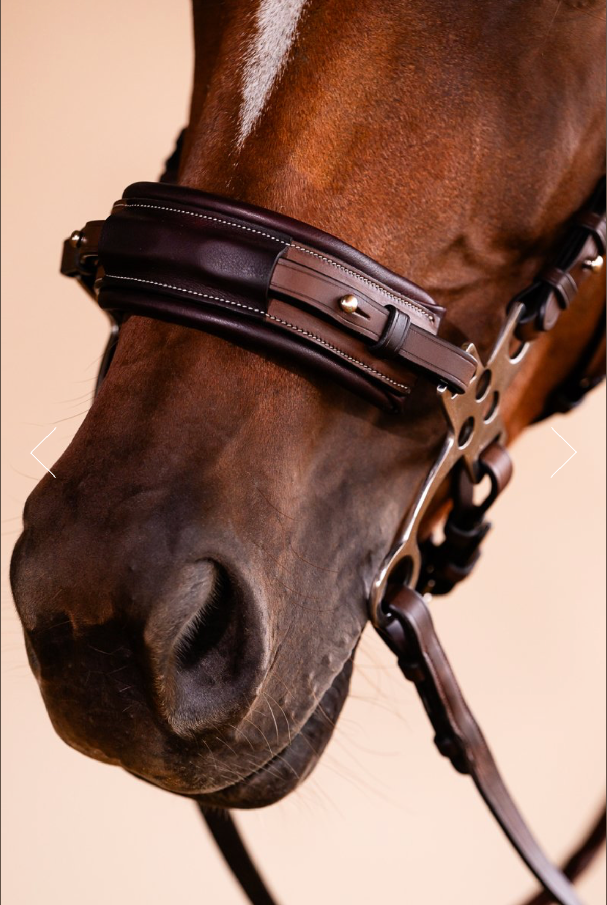 Arc de Triomphe Hackamore Bridle w/Stainless Steel Shanks & Calfskin Covered Reins