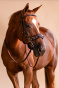 Load image into Gallery viewer, Arc de Triomphe Hackamore Bridle w/Stainless Steel Shanks & Calfskin Covered Reins
