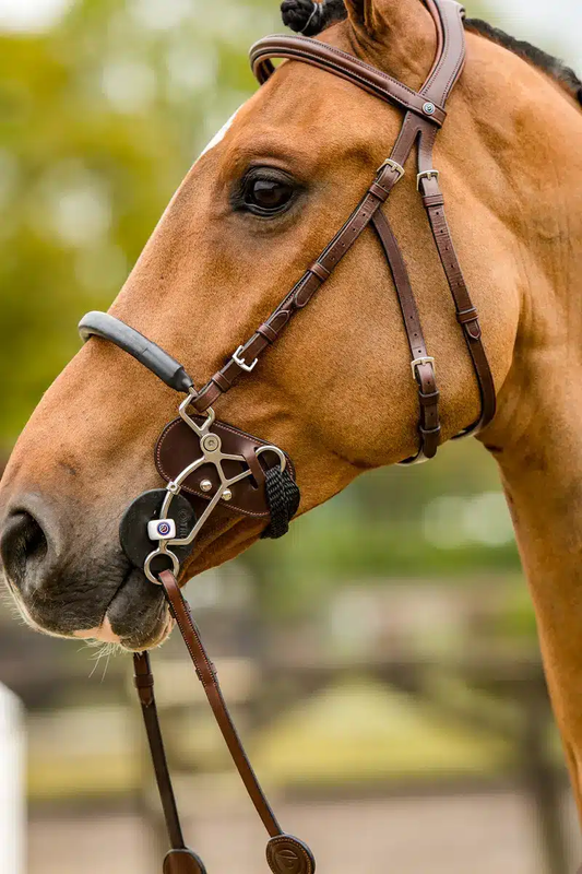 Trust Equestrian Hackamore Protector In Brown