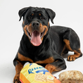 Load image into Gallery viewer, Biscuit Dog Toy 2pc
