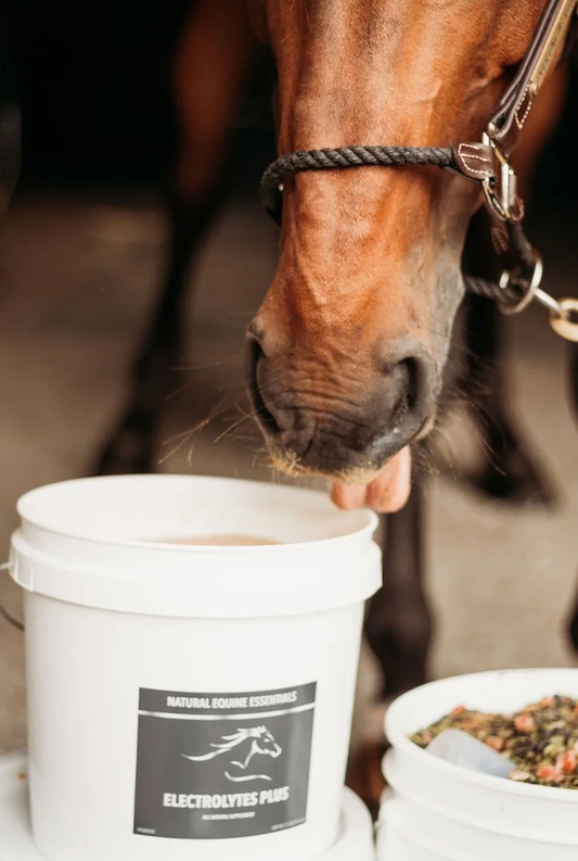 Natural Equine Essentials Electrolytes Plus