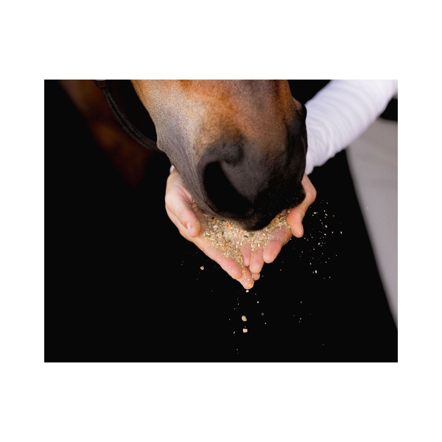 Equine Elixirs CALMAKAZI® Nervous System Support