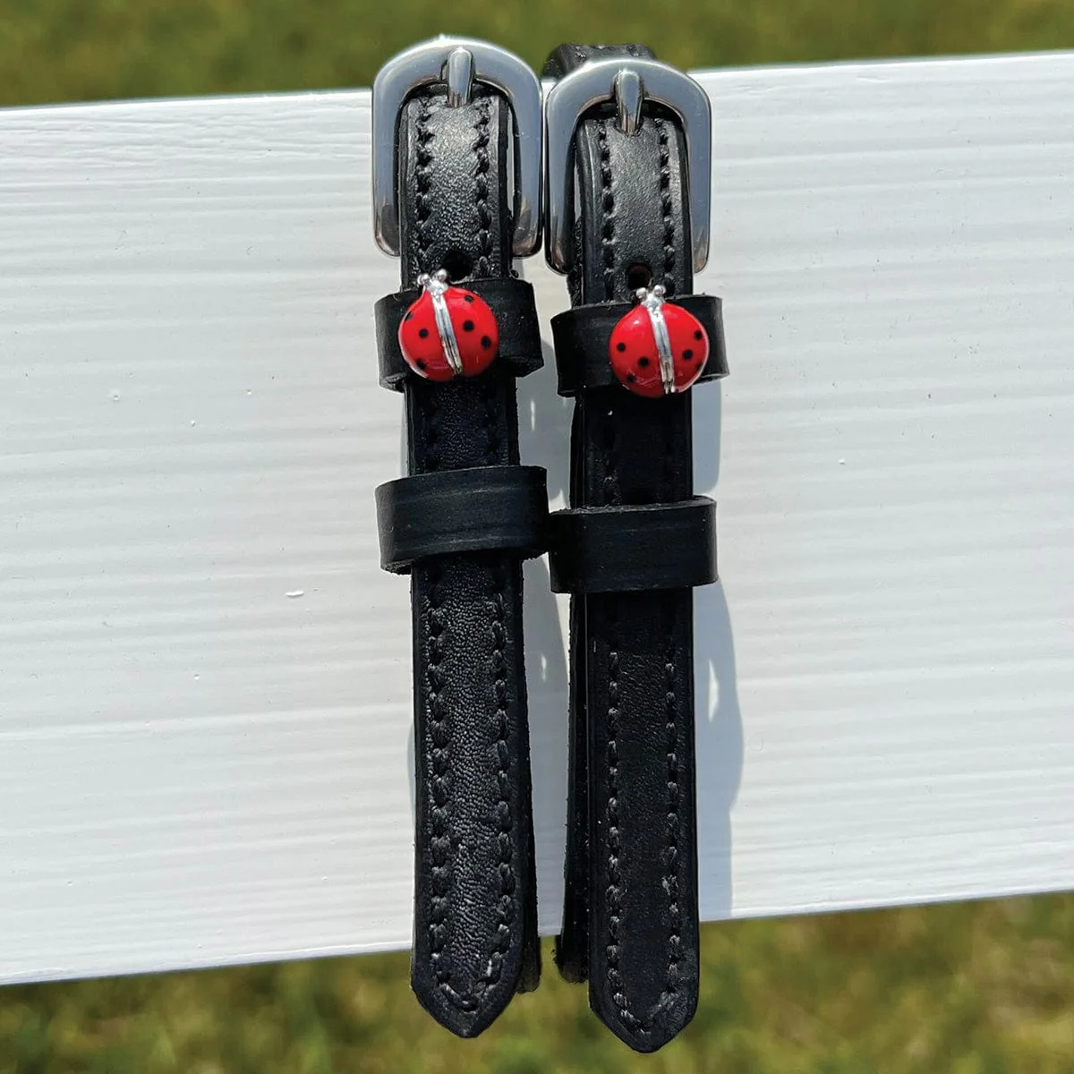 Mane Jane RED LADY BUG Spur Straps