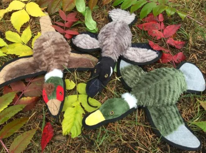 Ruffian Game Bird Pheasant