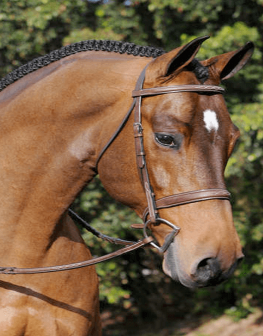 Arc de Triomphe Tribute Bridle w/ Laced Reins w/ Crank