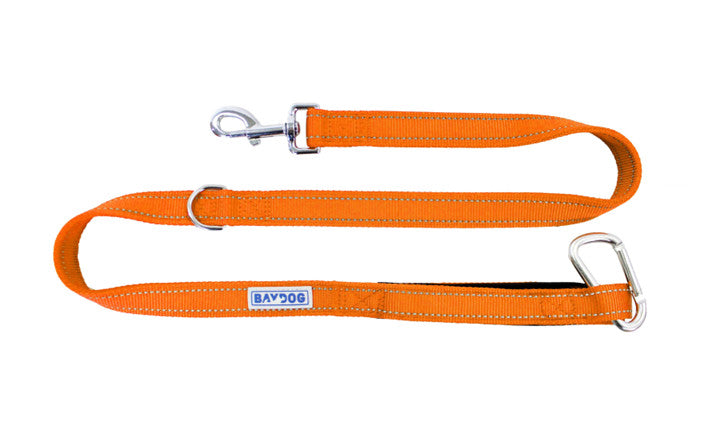 Bay Dog Hudson Leash 4 Ft