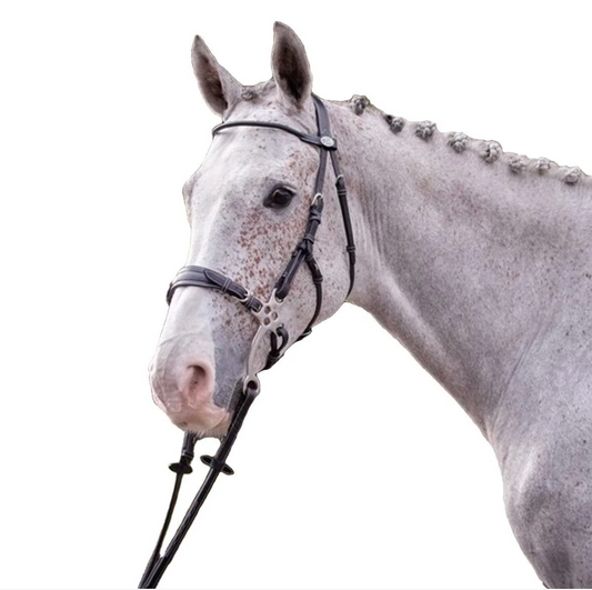 Jump In Hackamore Bridle Week Collection Havana Full