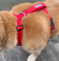 Load image into Gallery viewer, Chesapeake Harness Red 2
