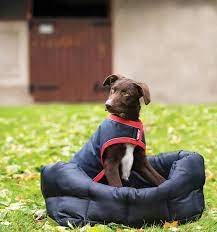 Rambo® Waterproof Dog Coat