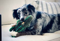 Load image into Gallery viewer, Steel Dog Safari Gator Dog Toy
