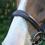 Red Barn Ocala Hunter Bridle