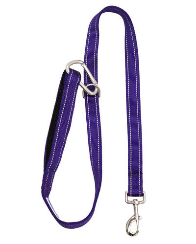 Hudson Leash Purple 2