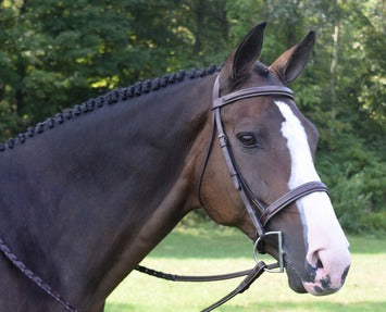 Black Oak Spruce Hunter Bridle