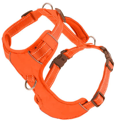 Chesapeake Harness Orange 1