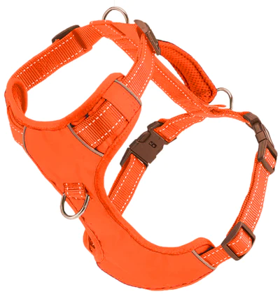 Bay Dog Chesapeake Harness