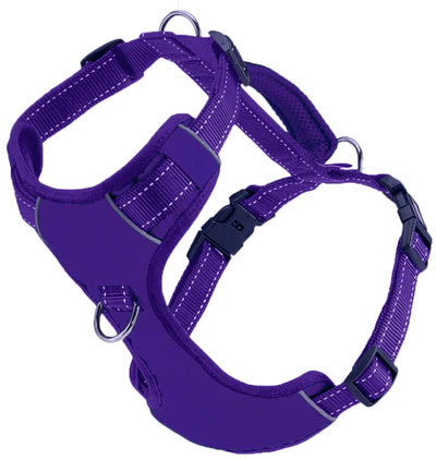 Chesapeake Harness Purple 1