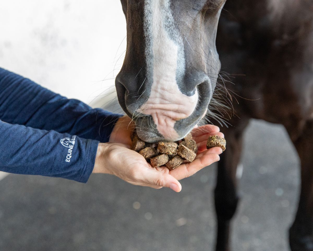 Equine Elixis TUMMY CRUNCHIES® Antacid Crunchies