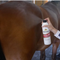 Load image into Gallery viewer, Absorbine Showsheen Finishing Mist Continuous Spray 15 oz
