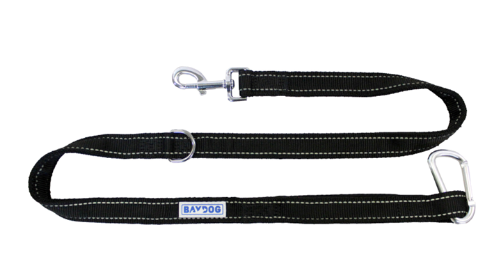 Bay Dog Hudson Leash 4 Ft