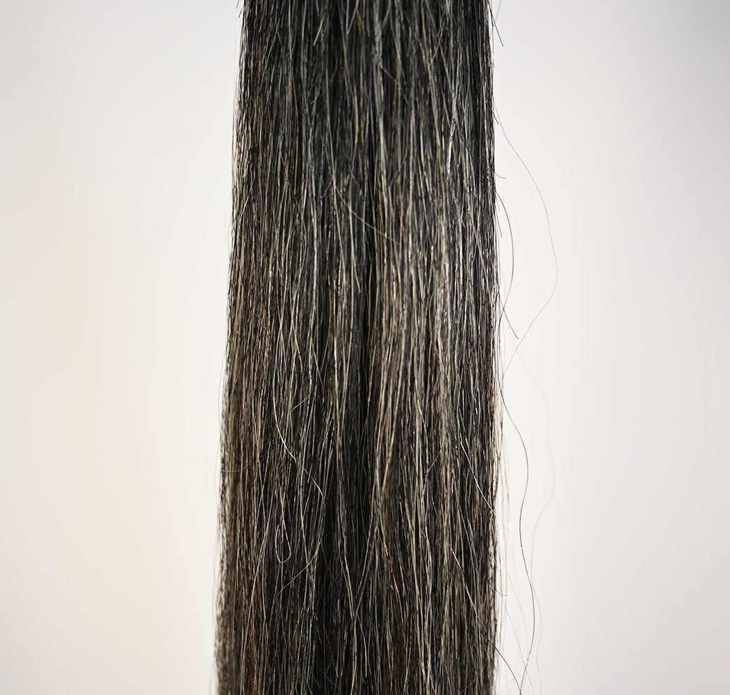 Talisman Horse Tails Horse Tail Extension Dark Grey 40%22-1.2-IV