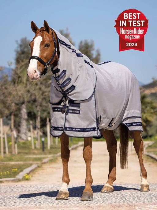 LeMieux Gladiator Fly Rug