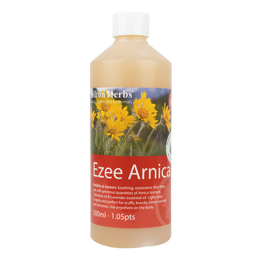 Ezee Arnica Gel