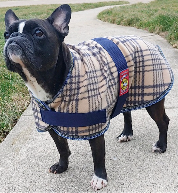 5/A Baker® Bakerfleece Dog Blanket