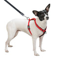 Load image into Gallery viewer, Sporn Ultimate Control Harness Red
