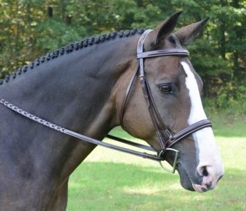 Red Barn Spirit Hunter Bridle