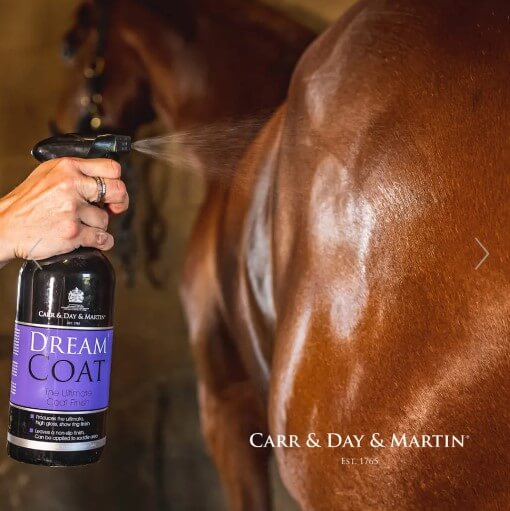 Dream Coat Ultimate Finish Spray