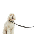 Load image into Gallery viewer, ARIAT® Dog Leash
