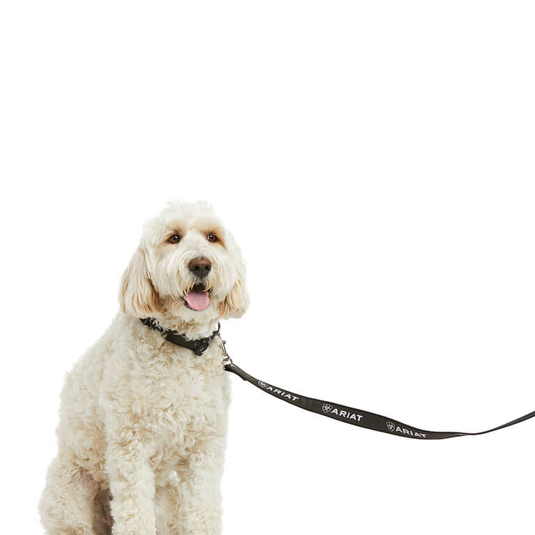 ARIAT® Dog Leash