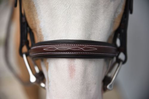 Red Barn Icon Hunter Bridle