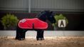 Load image into Gallery viewer, LeMieux® Toy Pony Show Rug
