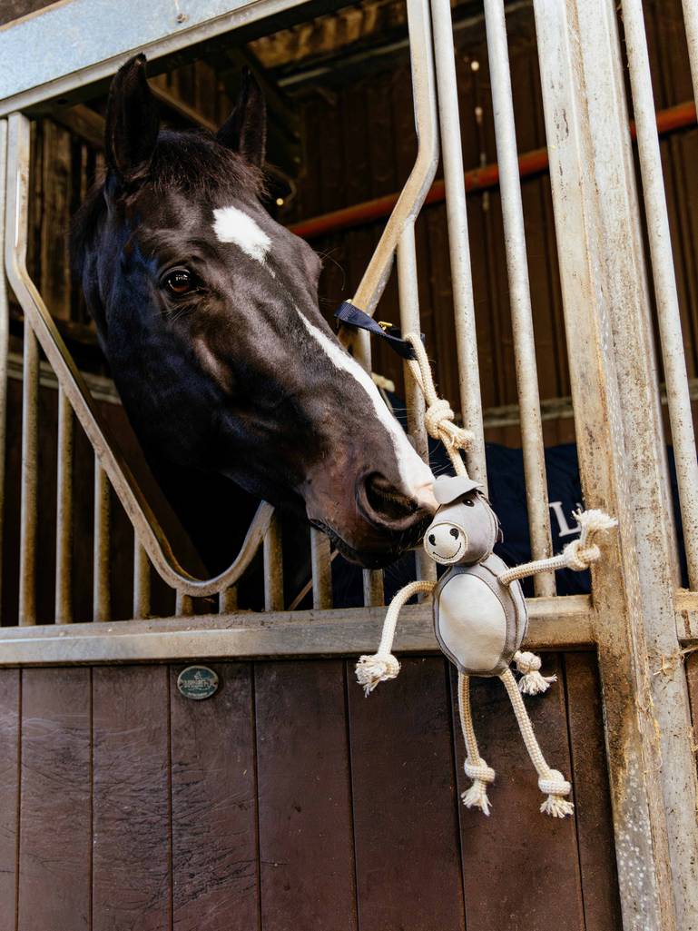 LeMieux Horse Toy Donkey