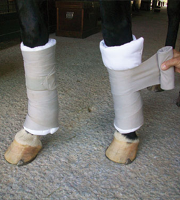 Wilker's Combo Quilted Leg Wraps Pair